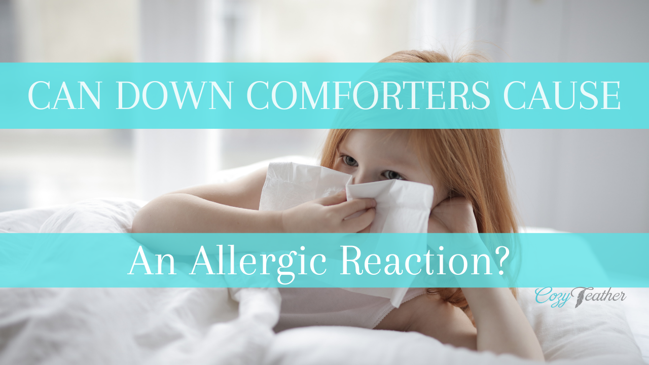 Can down comforters cause an allergic reaction? 