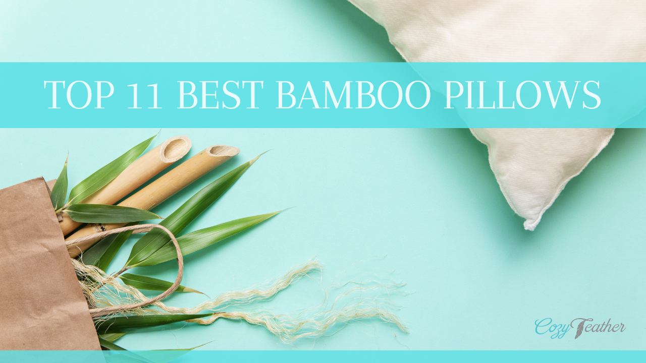 Top 11 Best Bamboo Pillows