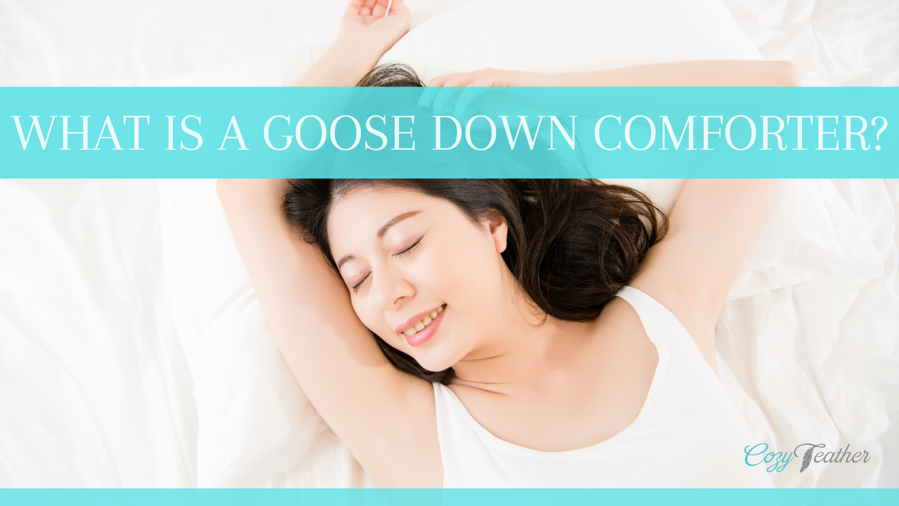 What is a Down Comforter?